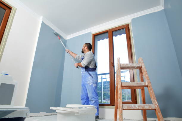 Best Drywall Patching  in Montgomery, IN